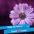 Jennifer Fagundes's profile image