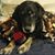 Christi Spates's profile image
