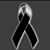 Amber Arellano's profile image