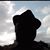 Claud Thomas's profile image