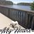 Gina Appel's profile image