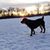 Mitzi Naomi's profile image