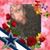 Dawn Prato Beardsley's profile image