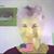Kathy Francis's profile image