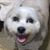 Aron Chruscielski's profile image