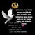 Juancarlos Rumipulla Gallegos's profile image