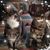 Grace Furnari's profile image