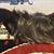 Fubsy Wilbur's profile image