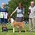 Sherry Shivley's profile image