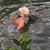 Heidi Sobel's profile image