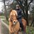 Ditte Okkels Alici's profile image