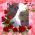 Betty Deer's profile image