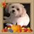 Diane Roughley's profile image
