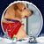 DonnaJim Geisler's profile image