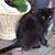 Patty Ruppert's profile image