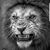Carlos Gonzalez's profile image