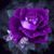 Sherri Spry's profile image