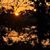 Becki James Jackson's profile image