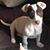 Chere Eric Runge's profile image