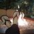 Leanne Skogquist's profile image