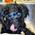 Jane E Burns's profile image