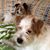 Betsi Summers Garfinkel's profile image