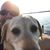 Scott Messner's profile image