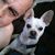 Rick Schrodt's profile image