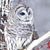 Mary Sharrow's profile image