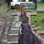 Serenity Marie's profile image