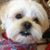 Tracy J. Angulo's profile image