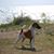 Anne Wainwright Beckwith's profile image