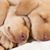 Jackie Kester's profile image