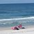 Bonnie Brossard Smith's profile image