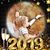 Debi Soper-Rainey's profile image
