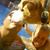 Kelley Echols's profile image