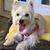 Carol Hamrick's profile image