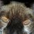 Alfonso Beltran Jr.'s profile image