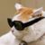 Michael Borodimos's profile image