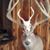 Rodney Litwiller's profile image