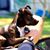 Monicka Tapia's profile image
