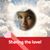 Nina Stewart's profile image