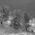 Maria Isabel Stevenson's profile image