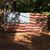 Linda Thomson's profile image
