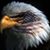 Bob Reese's profile image