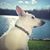 Bill McGlin's profile image
