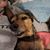 Tammi Donnelly's profile image