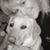 Lori Glick Rea's profile image