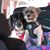 Maria Louzon Diaz's profile image