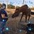 Alicia Kary's profile image